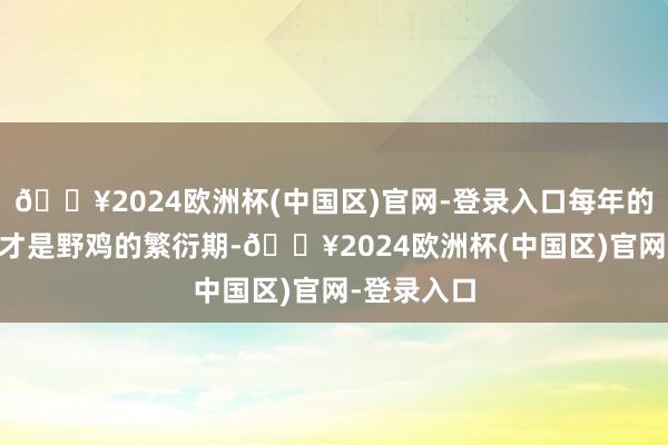 🔥2024欧洲杯(中国区)官网-登录入口每年的4到7月份才是野鸡的繁衍期-🔥2024欧洲杯(中国区)官网-登录入口