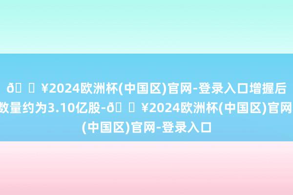 🔥2024欧洲杯(中国区)官网-登录入口增握后最新握股数量约为3.10亿股-🔥2024欧洲杯(中国区)官网-登录入口